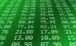 Altcoin Boğası 2025 Yılında Olacak mı?