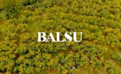 Balsu Kaç Lot Düşer?