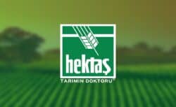 HEKTS borsada 2 yıldır düşüyor