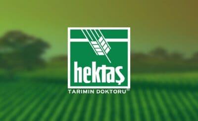 HEKTS borsada 2 yıldır düşüyor