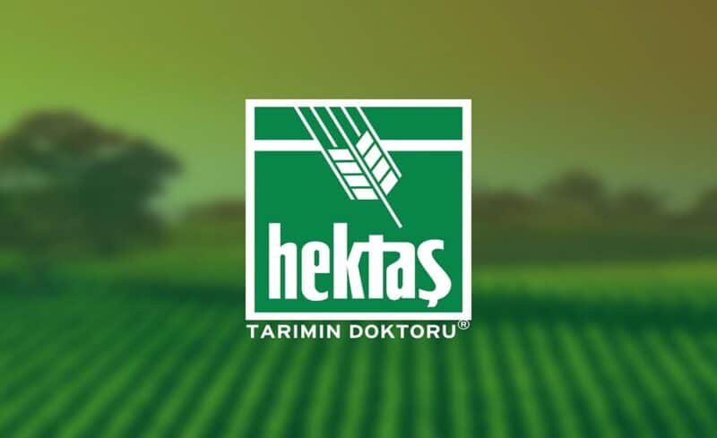 HEKTS borsada 2 yıldır düşüyor