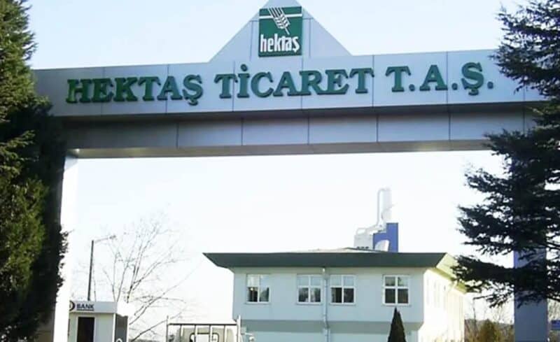 Hektaş (HEKTS) Neden Düşüyor 2025 Yılında Ne Yapacak?