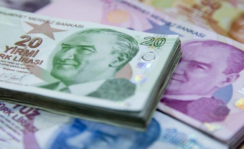 Temettü Veren Şirketler ve Hisseler 2025
