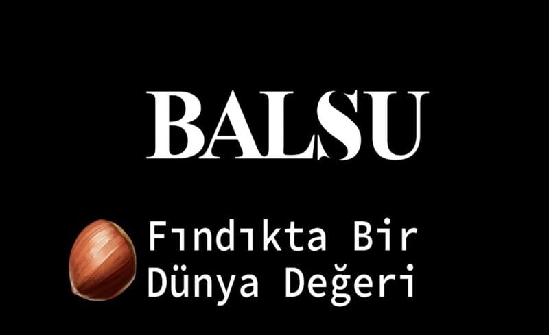 Balsu Kaç Lot Düşer?