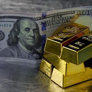 Altın Dolar ve Euro Rekor Kırdı, Borsa Devre Kesti
