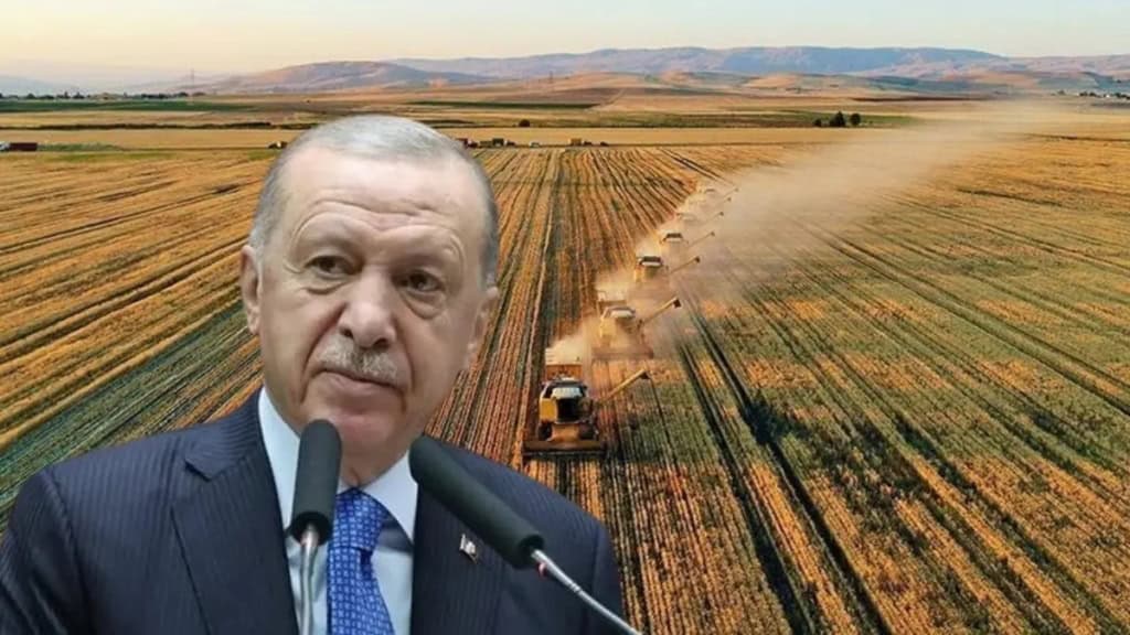Cumhurbaşkanı Recep Tayyip Erdoğan'ın yeni kredi paketini açıklarken görüntüsü