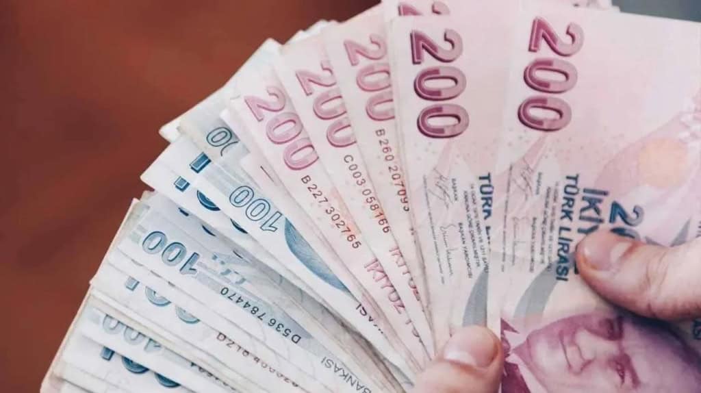 200 TL ve 100 TL'den oluşan para destei