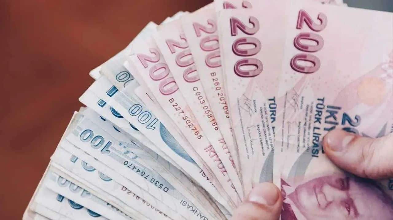 200 TL ve 100 TL'den oluşan para destei